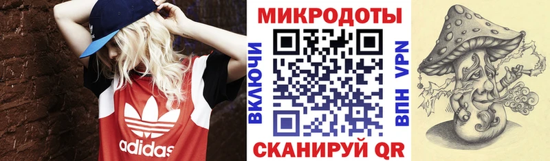 Псилоцибиновые грибы GOLDEN TEACHER купить Вельск