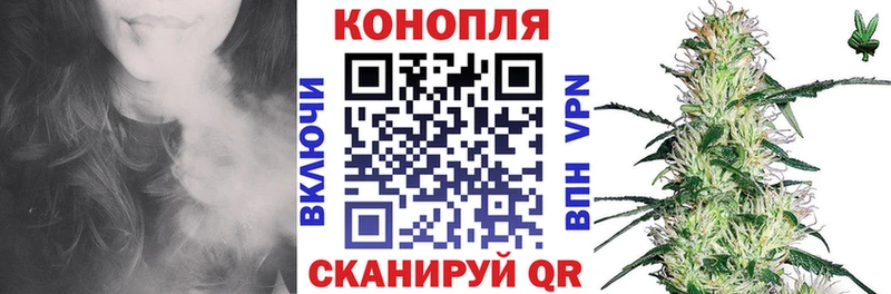 Конопля планчик  Вельск 
